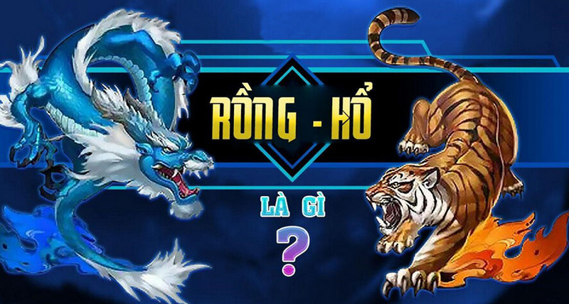 kinh nghiem choi rong ho 1 Cần nắm bắt kinh nghiệm khi tham gia game Rồng Hổ