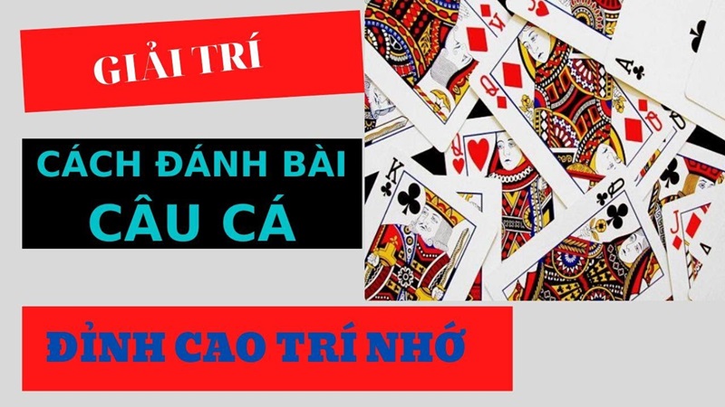 bai cau ca Vì Sao Nên Chọn Bài Câu Cá Tại Fun88?